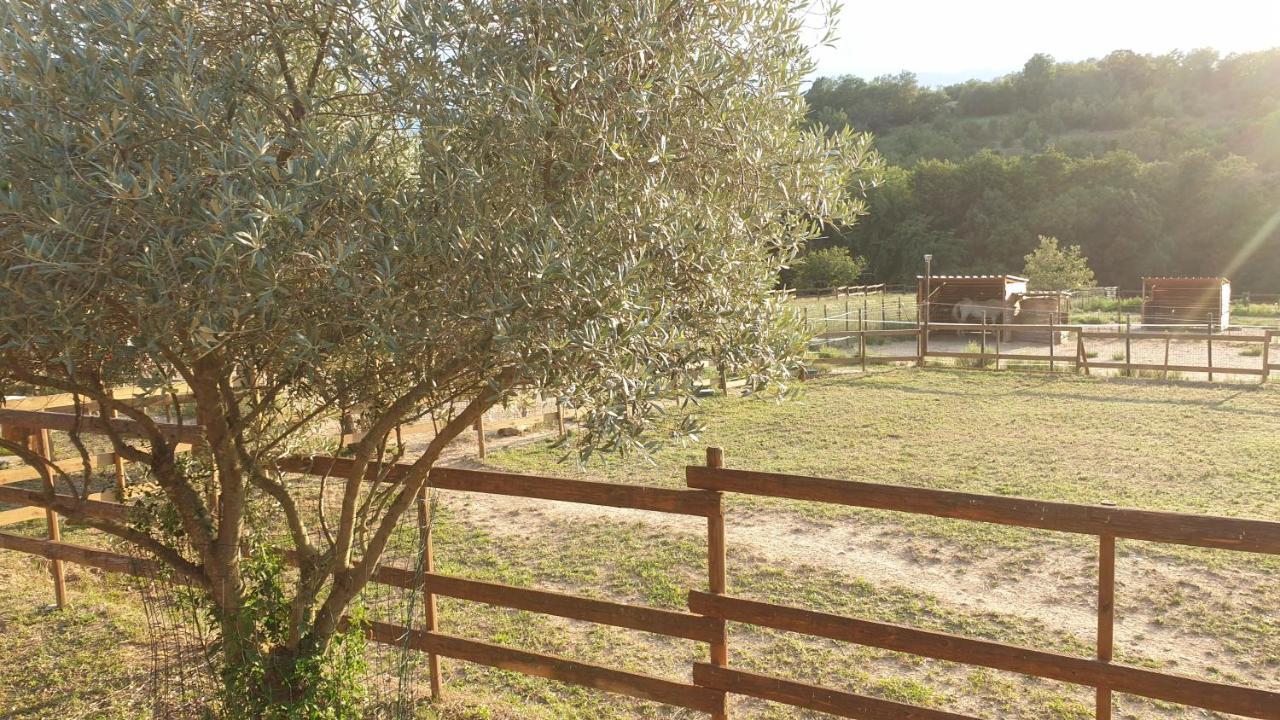 Chambre D'Hotes Le Petit Ranch Los Masos Exterior foto