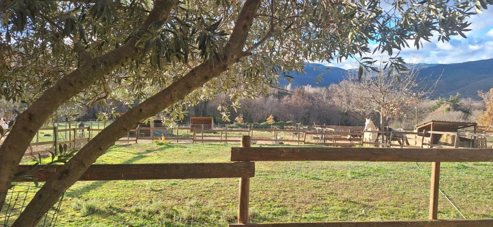 Chambre D'Hotes Le Petit Ranch Los Masos Exterior foto